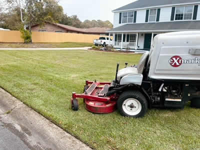 Weekly lawn service near me hot sale